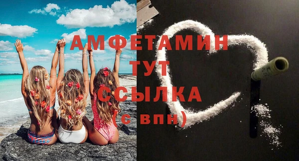 молекула духа Няндома