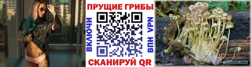 Галлюциногенные грибы мухоморы  Добрянка 